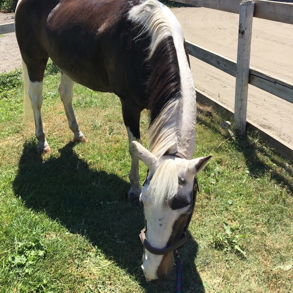 Meet your Posher, Kate - Picture 1 of 1